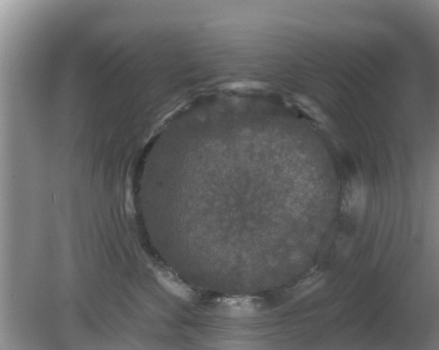 X0000080180524200612151951