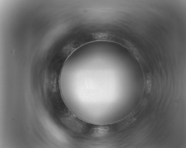 X0000080180525200612151951