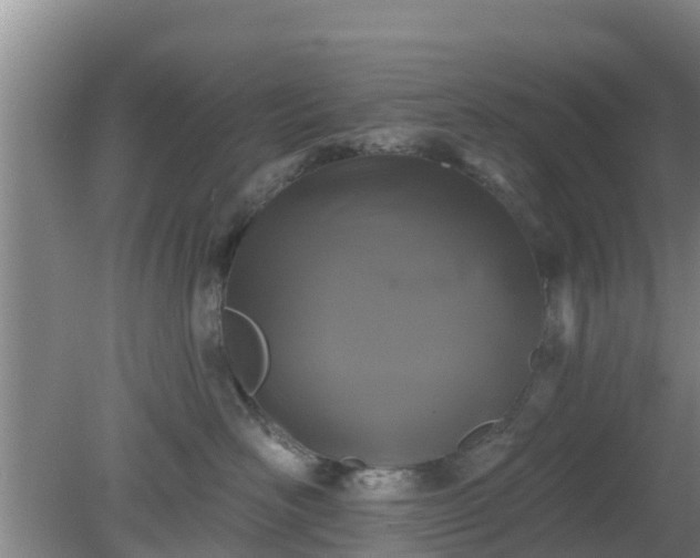 X0000080180526200612151951