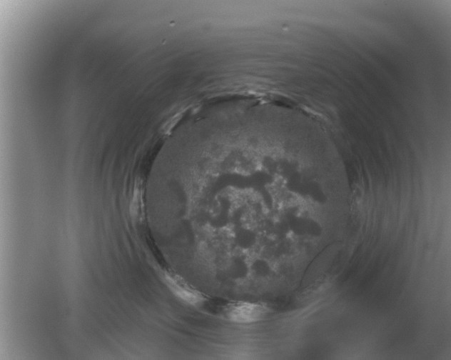 X0000080180527200612151951