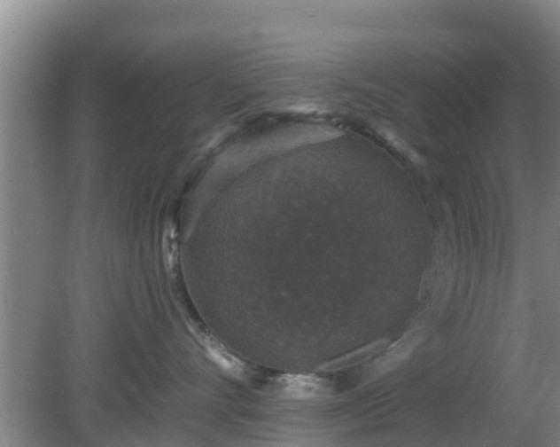 X0000080180528200612151951