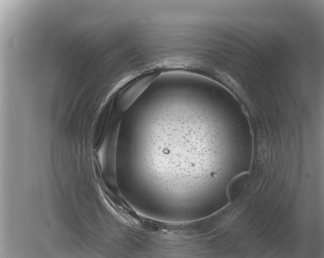 X0000080180530200612151951