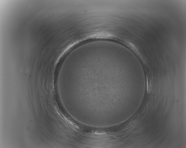 X0000080180531200612151951