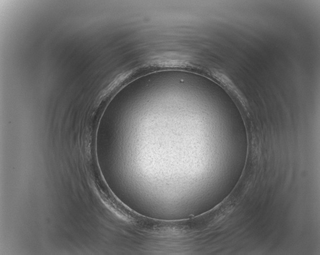 X0000080180533200612151951