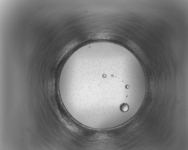 X0000080180534200612151951