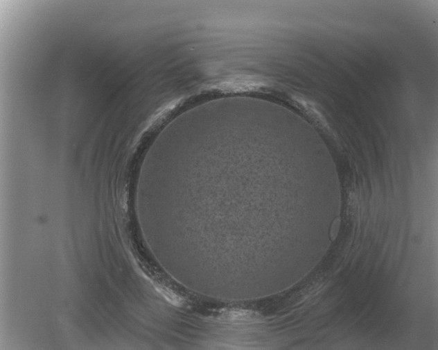 X0000080180539200612151951