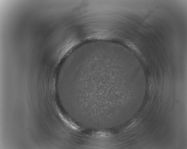 X0000080180542200612151951