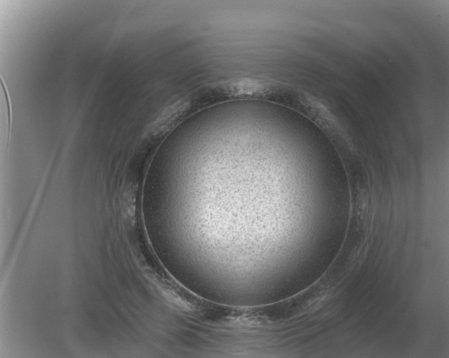 X0000080180545200612151951