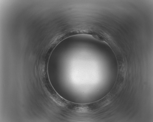 X0000080180548200612151951