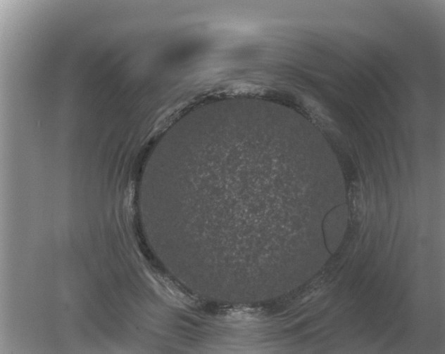 X0000080180550200612151951