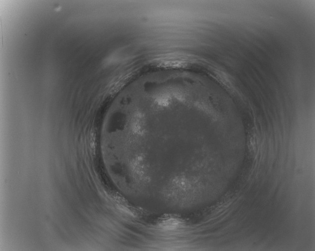 X0000080180551200612151951