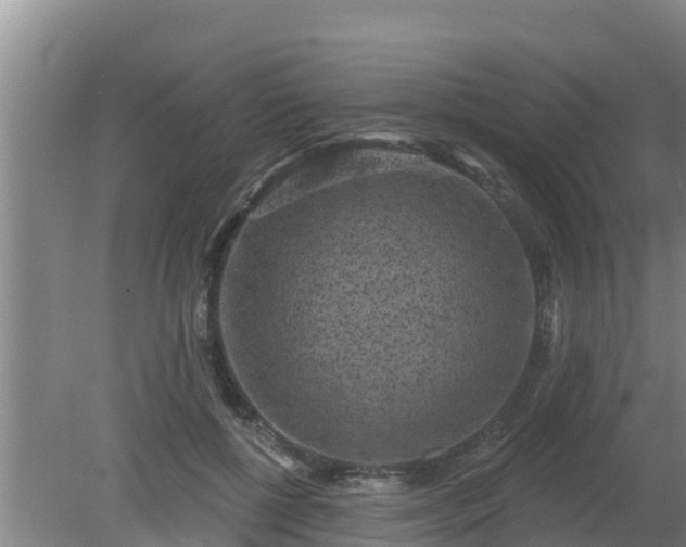 X0000080180552200612151951