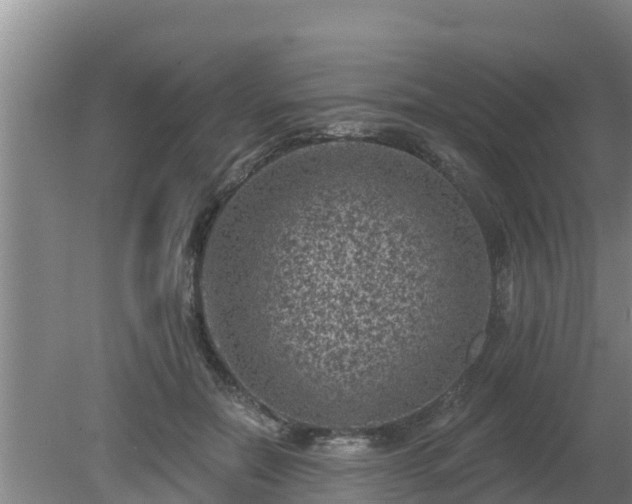 X0000080180554200612151951