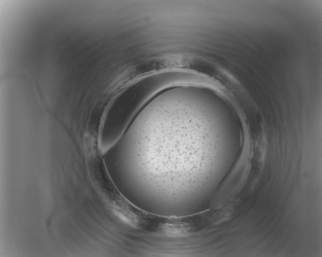 X0000080180556200612151951