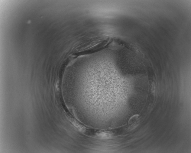 X0000080180561200612151951