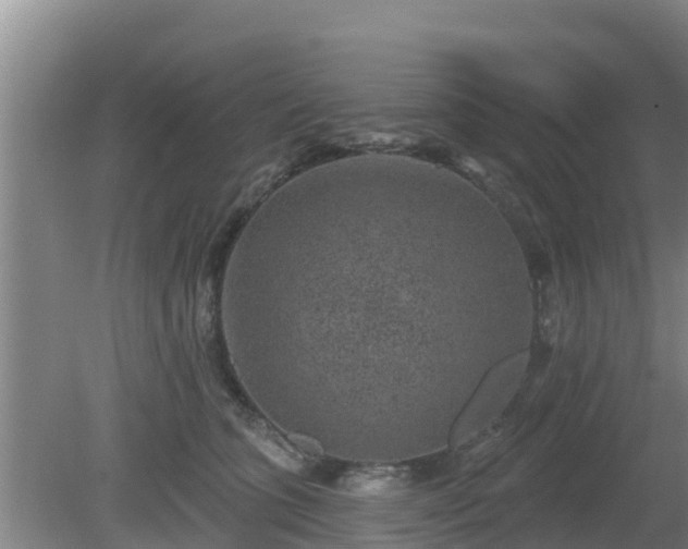 X0000080180563200612151951