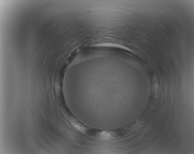 X0000080180566200612151951