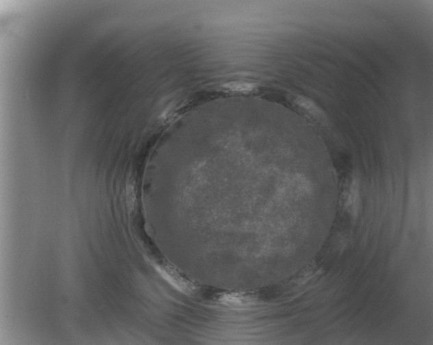 X0000080180568200612151951