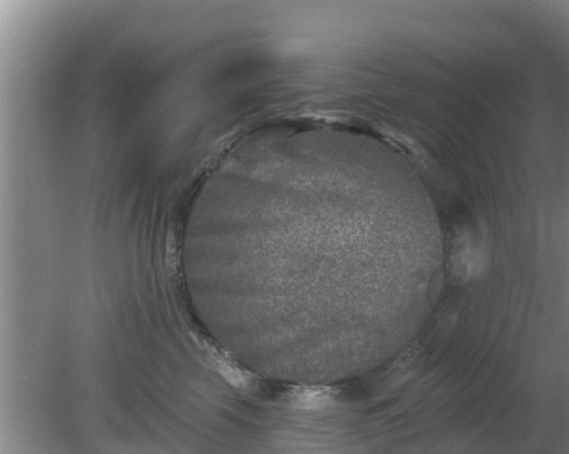 X0000080180569200612151951