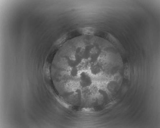 X0000080180573200612151951