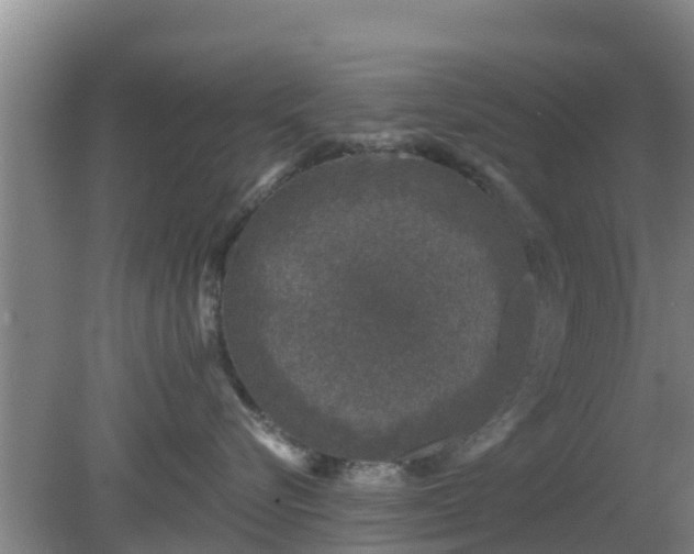 X0000080180576200612151951