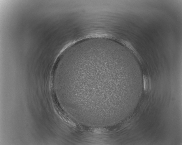 X0000080180579200612151951