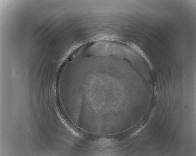 X0000080180581200612151950