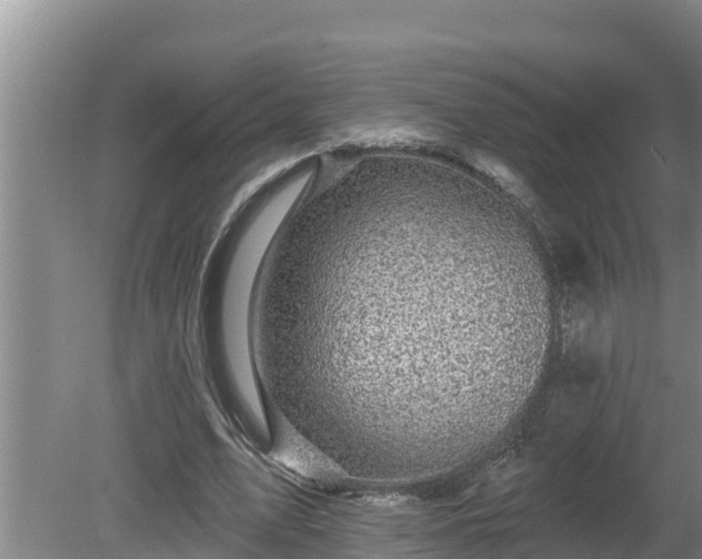 X0000080180583200612151950