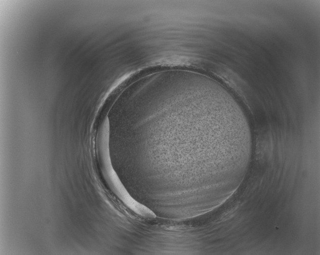 X0000080180584200612151950