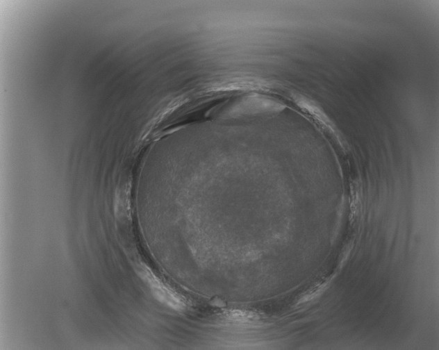 X0000080180585200612151950