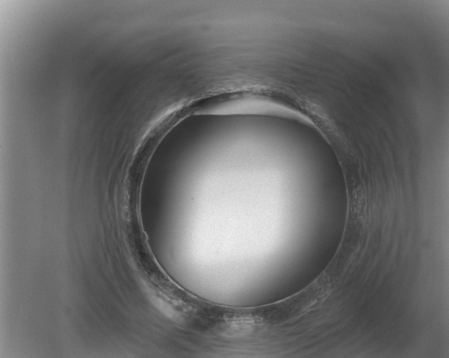 X0000080180587200612151950