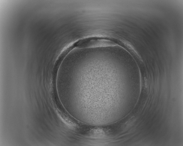 X0000080180588200612151950