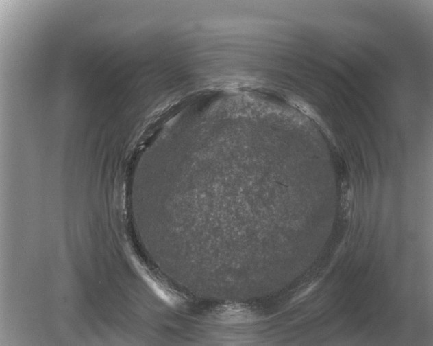 X0000080180589200612151950