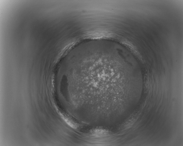 X0000080180590200612151950