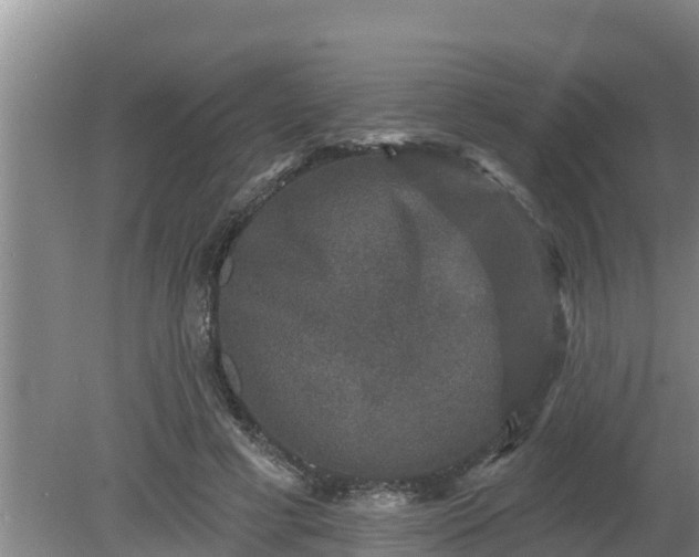 X0000080180593200612151950