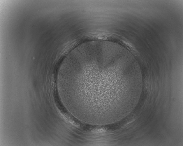 X0000080180594200612151950