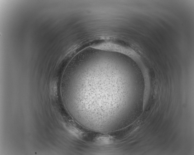 X0000080180595200612151950