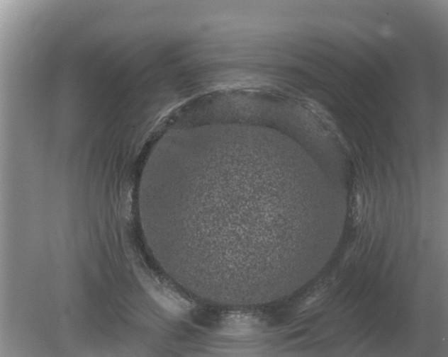 X0000080180596200612151950