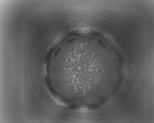 X0000080180598200612151950