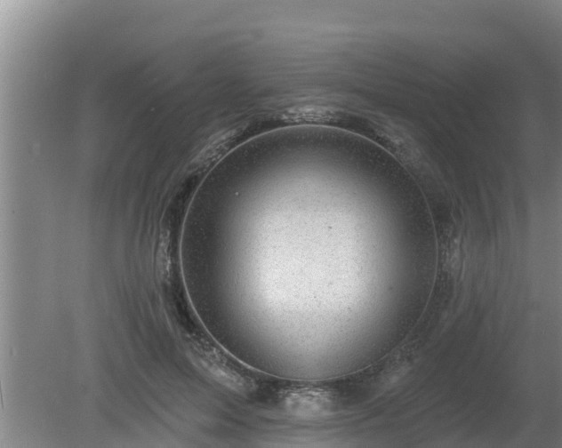 X0000080180599200612151950