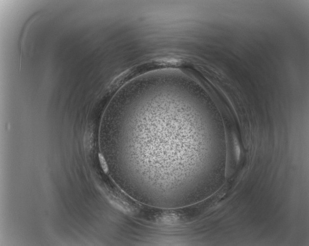 X0000080180600200612151950