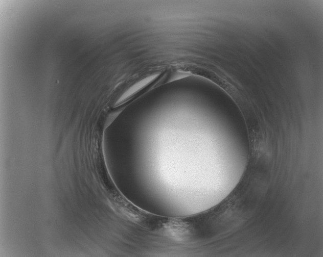 X0000080180603200612151950