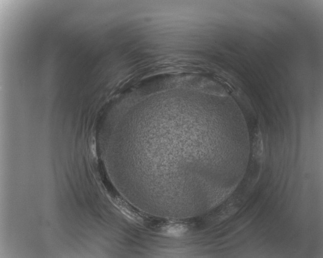 X0000080180604200612151950