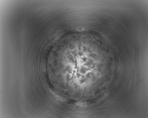 X0000080180606200612151950