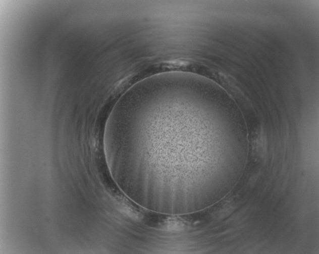 X0000080180608200612151950