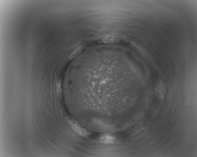 X0000080180610200612151950