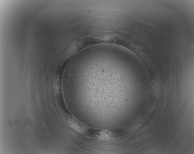 X0000080180612200612151950