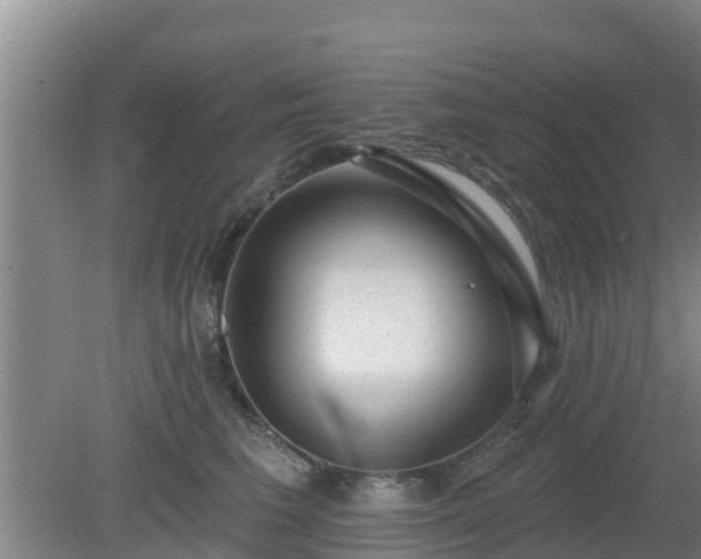 X0000080180613200612151950