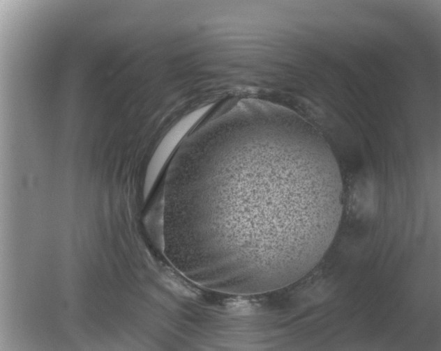 X0000080180616200612151950