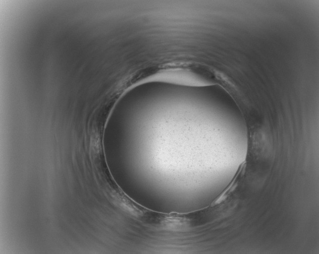 X0000080180617200612151950